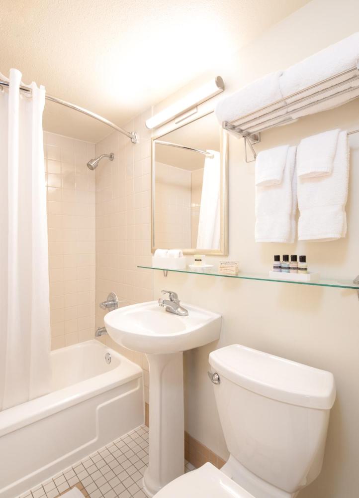 Deluxe One King Bedroom Suite interior